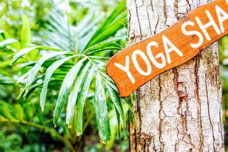 a sign on treetrunk that says yoga shala