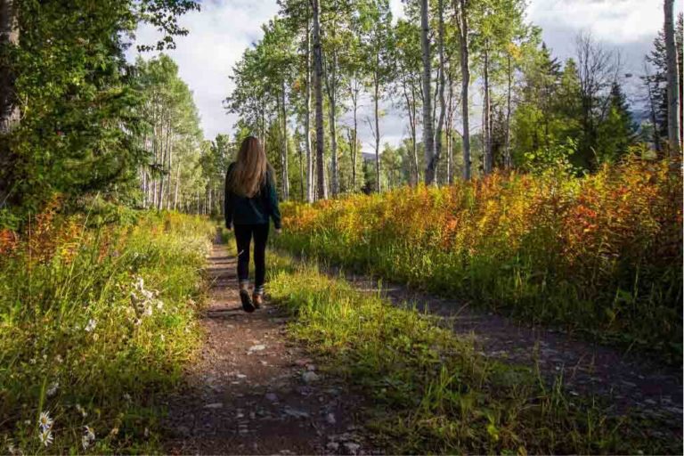 girl walking in the wood in fall