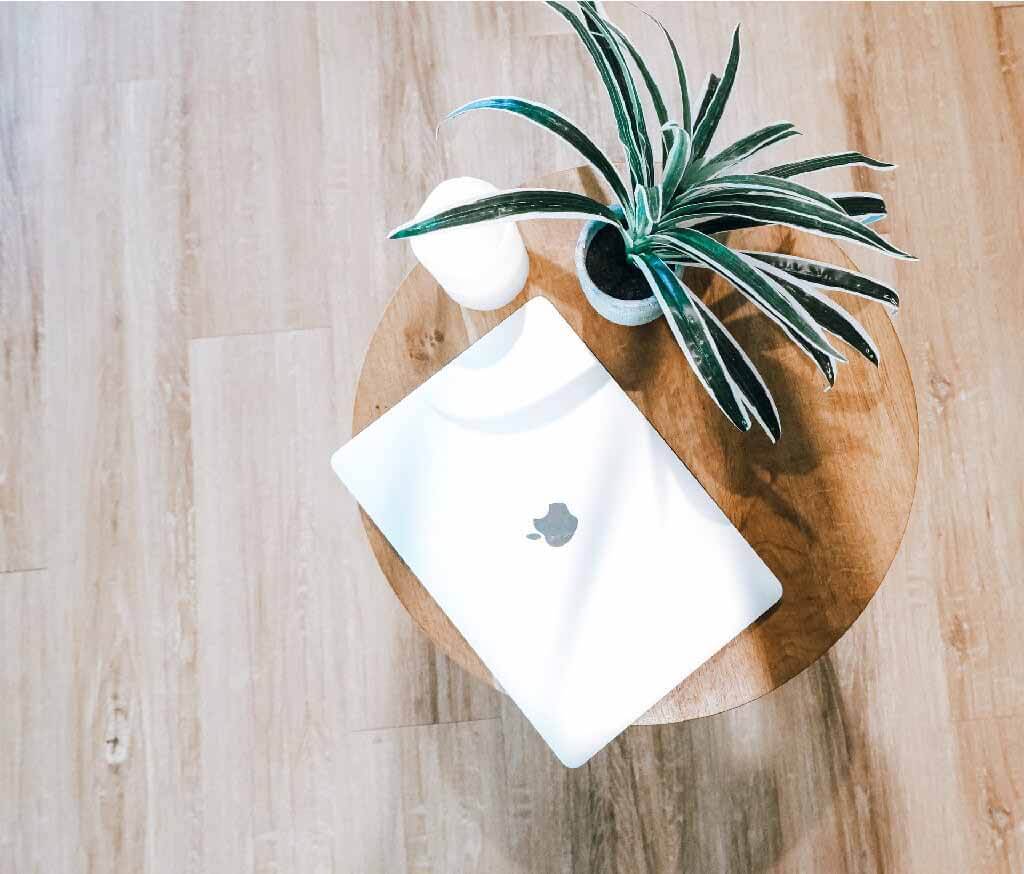 a laptop on a wood desk with a plant