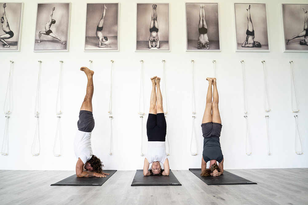 iyengar teachers headstand