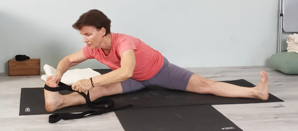 Iyengar Yoga Institute - Level 2 Home Practice